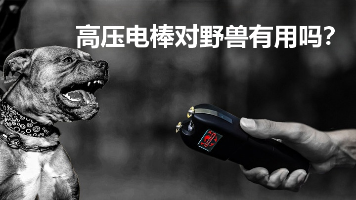高压电棒对野兽有用吗.png