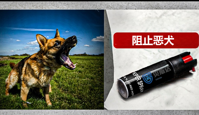 阻止恶犬.png
