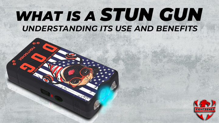 what-is-stun-gun.jpg