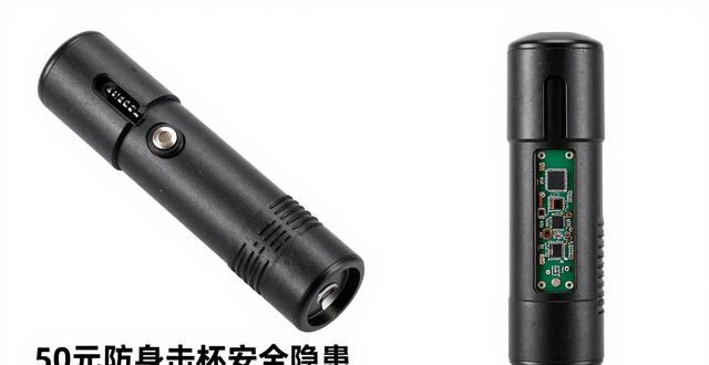 防身电击棒能电死人吗_电棒防身电击_防身电击棒50元