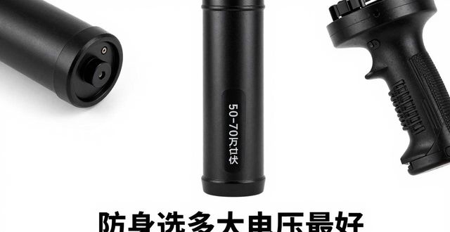 棒电压电击一般多少伏_电击棒一般多少电压_电棒瞬间电压