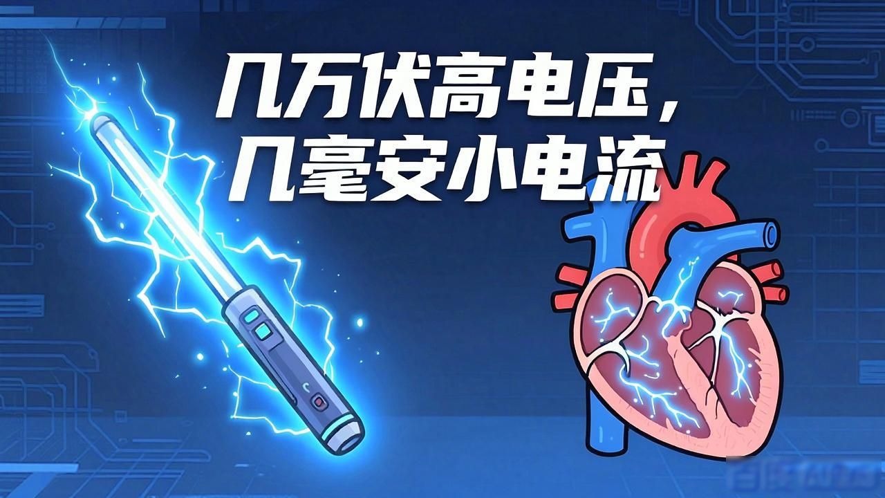 电棍会电死人_电棍可以把人电死吗_电棍能不能电死人